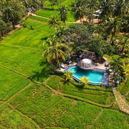 Nelu Villa Sigirîya Extérieur photo