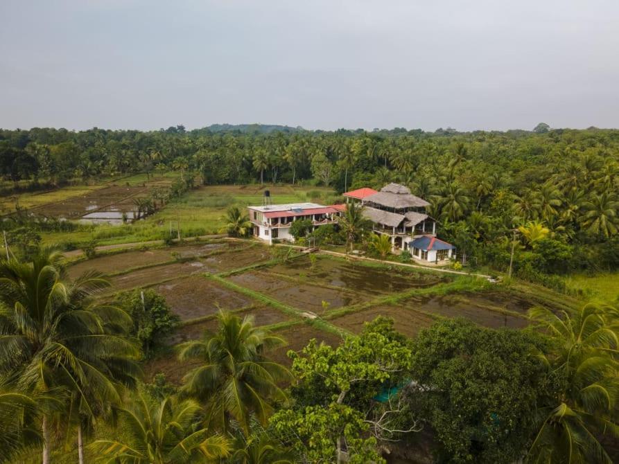 Nelu Villa Sigirîya Extérieur photo