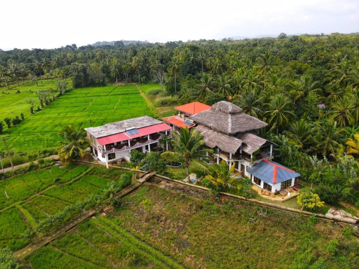 Nelu Villa Sigirîya Extérieur photo
