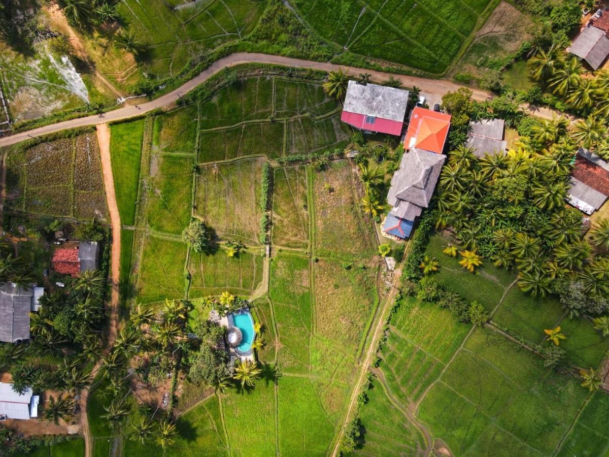 Nelu Villa Sigirîya Extérieur photo