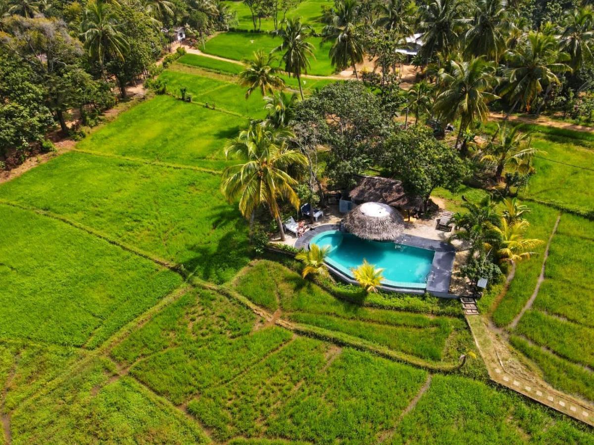 Nelu Villa Sigirîya Extérieur photo