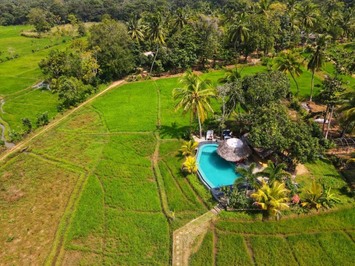 Nelu Villa Sigirîya Extérieur photo