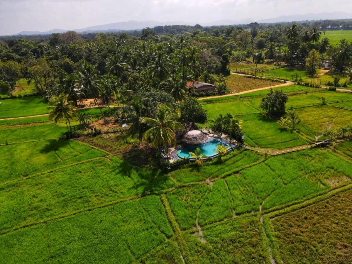 Nelu Villa Sigirîya Extérieur photo