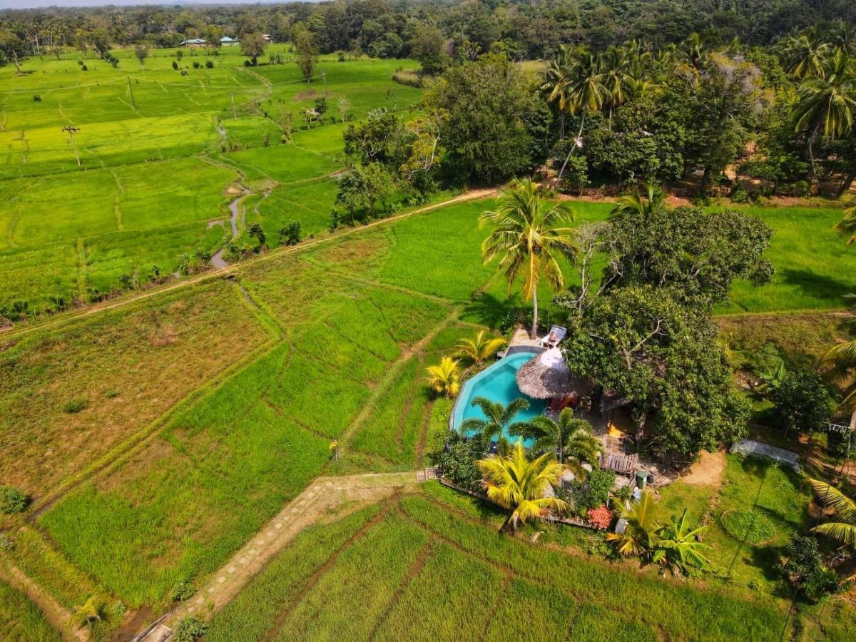 Nelu Villa Sigirîya Extérieur photo