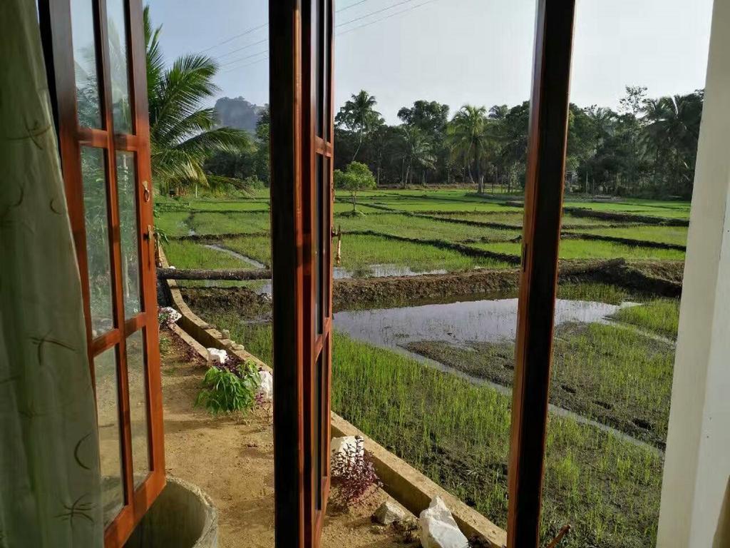 Nelu Villa Sigirîya Extérieur photo