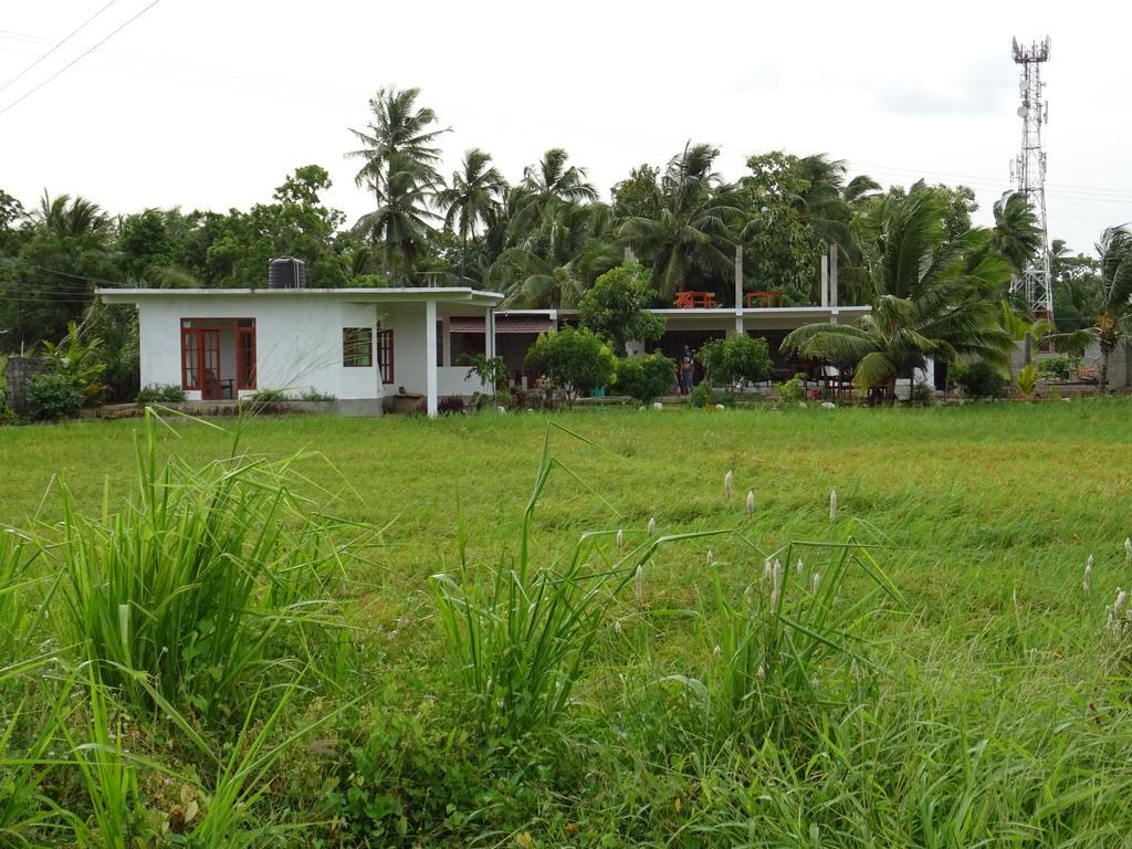 Nelu Villa Sigirîya Extérieur photo