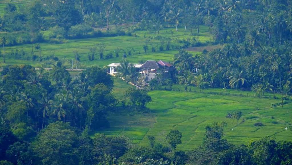 Nelu Villa Sigirîya Extérieur photo