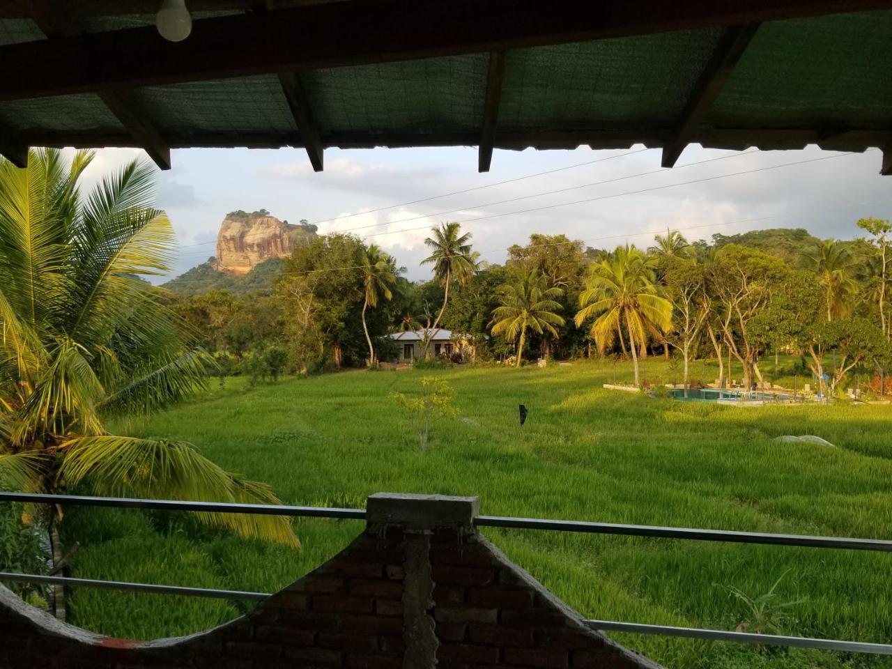 Nelu Villa Sigirîya Extérieur photo
