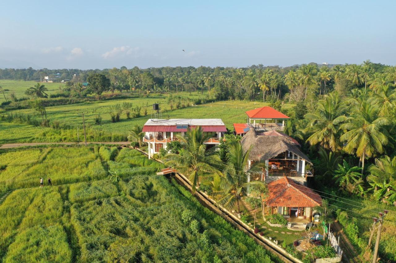 Nelu Villa Sigirîya Extérieur photo