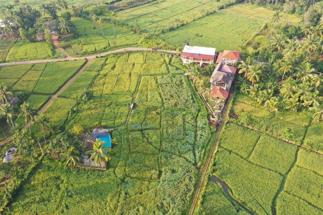 Nelu Villa Sigirîya Extérieur photo